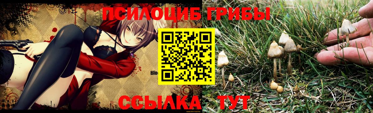 Галлюциногенные грибы MAGIC MUSHROOMS  Вход с VPN  Александров 
