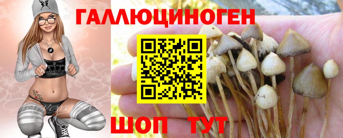 Псилоцибиновые грибы Magic Shrooms Александров