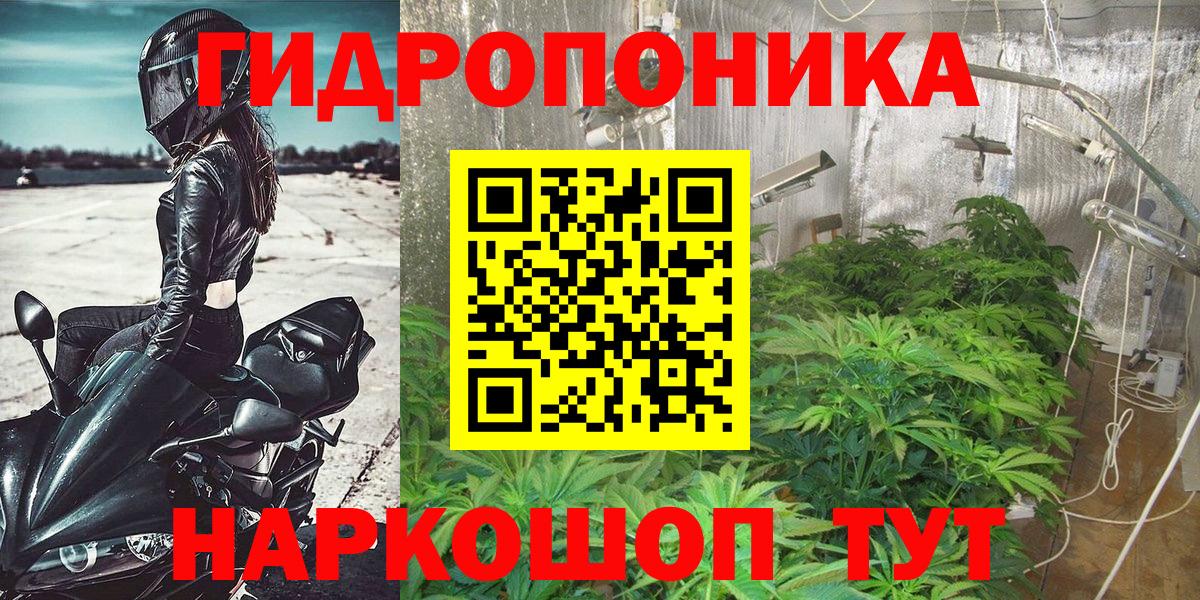 Александров  Бошки марихуана план  Канабис сатива  Каннабис White Widow  Вход с VPN  Бошки Шишки сатива 